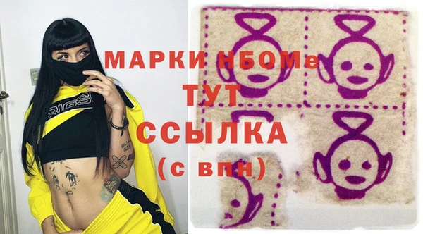 хмурый Новозыбков
