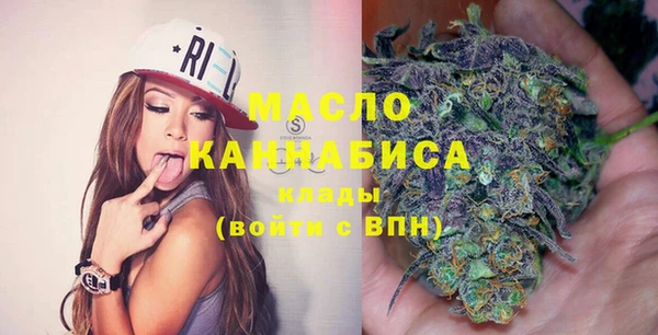 хмурый Новозыбков