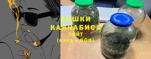хмурый Новозыбков