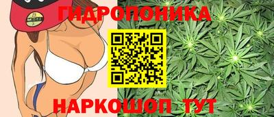 мяу мяу мука Ирбит