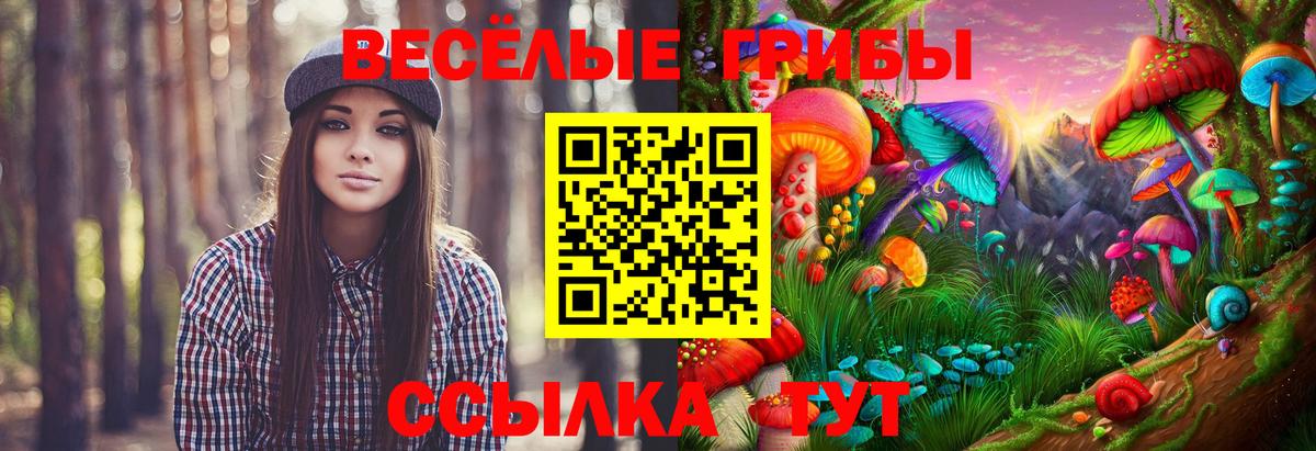 Псилоцибиновые грибы Magic Shrooms Старая Русса