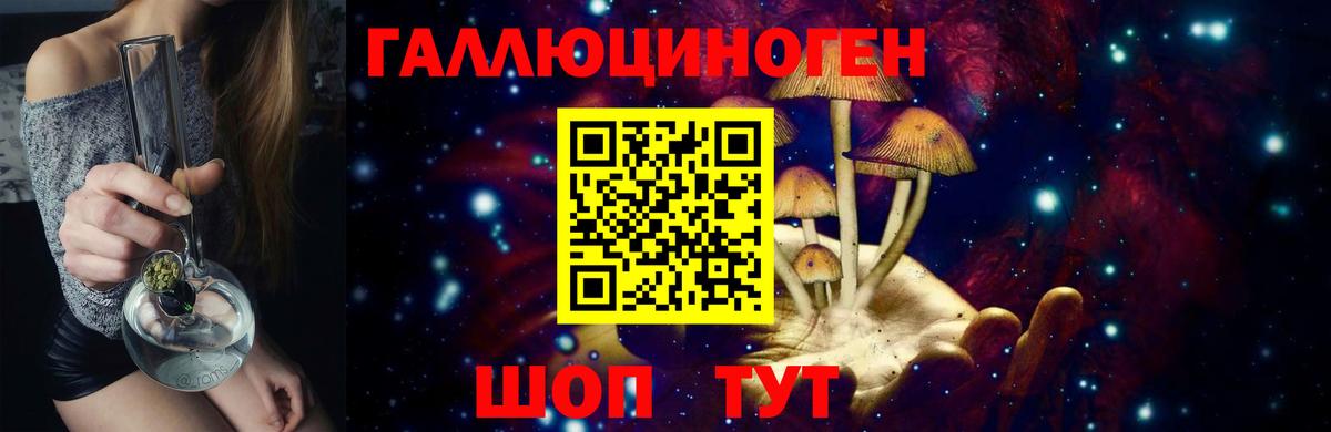 Галлюциногенные грибы Psilocybe  Старая Русса 